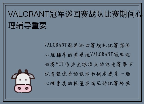 VALORANT冠军巡回赛战队比赛期间心理辅导重要