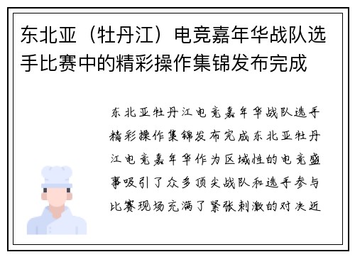 东北亚（牡丹江）电竞嘉年华战队选手比赛中的精彩操作集锦发布完成