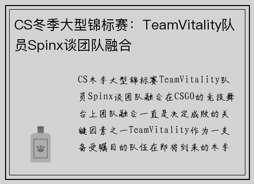 CS冬季大型锦标赛：TeamVitality队员Spinx谈团队融合