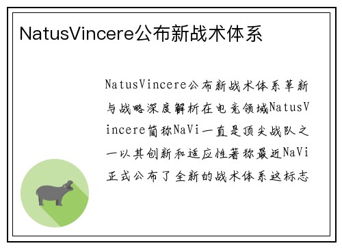 NatusVincere公布新战术体系