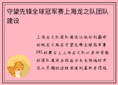 守望先锋全球冠军赛上海龙之队团队建设